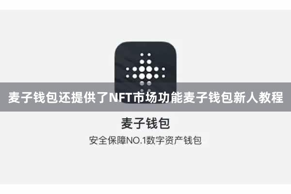麦子钱包还提供了NFT市场功能麦子钱包新人教程