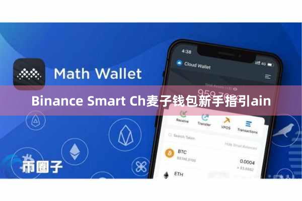 Binance Smart Ch麦子钱包新手指引ain