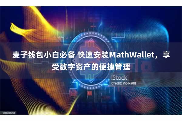 麦子钱包小白必备 快速安装MathWallet，享受数字资产的便捷管理