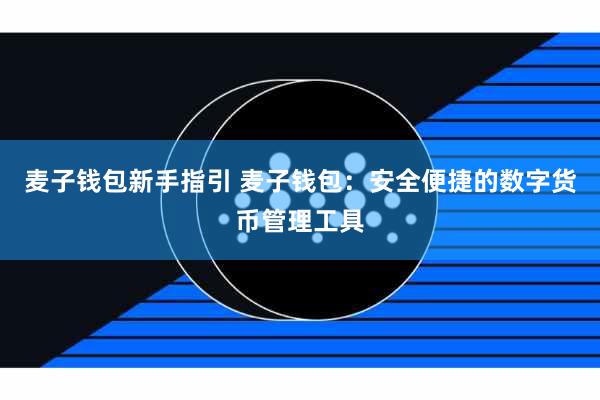 麦子钱包新手指引 麦子钱包：安全便捷的数字货币管理工具