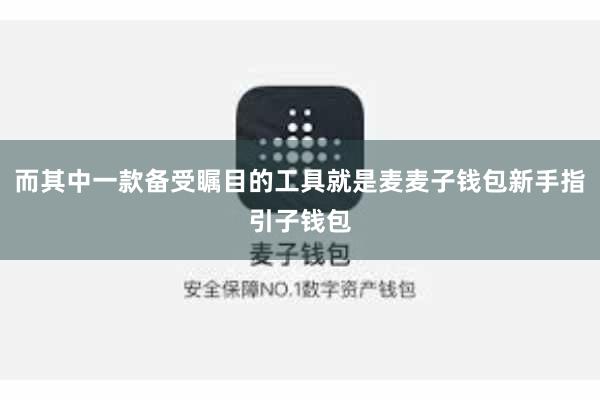 而其中一款备受瞩目的工具就是麦麦子钱包新手指引子钱包