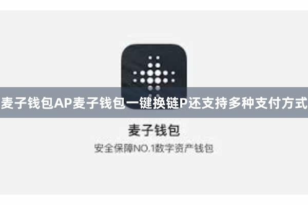 麦子钱包AP麦子钱包一键换链P还支持多种支付方式