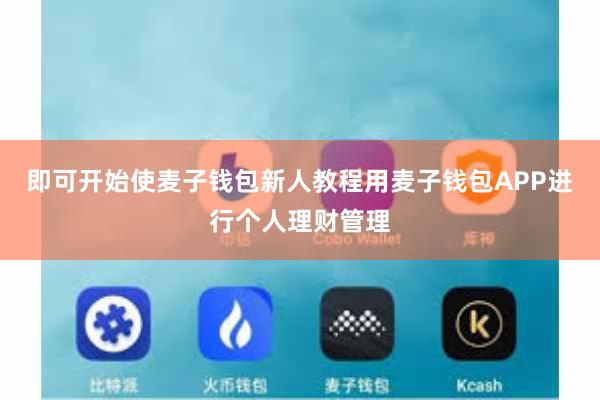 即可开始使麦子钱包新人教程用麦子钱包APP进行个人理财管理