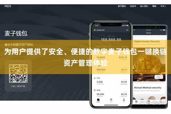 为用户提供了安全、便捷的数字麦子钱包一键换链资产管理体验