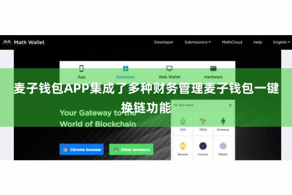 麦子钱包APP集成了多种财务管理麦子钱包一键换链功能