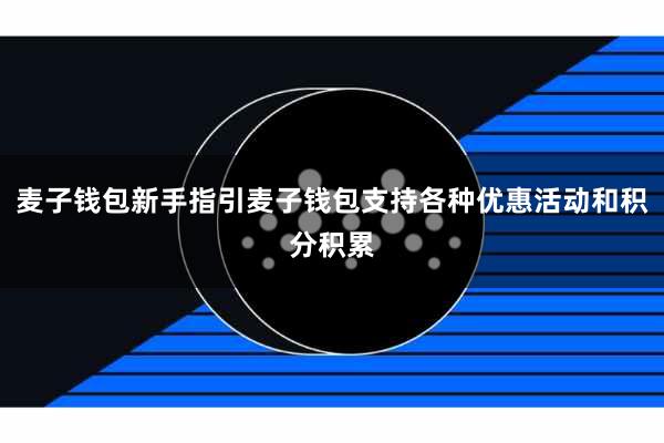 麦子钱包新手指引麦子钱包支持各种优惠活动和积分积累