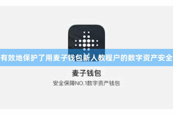 有效地保护了用麦子钱包新人教程户的数字资产安全