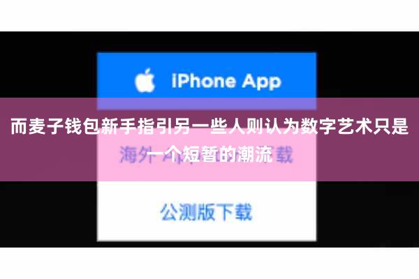 而麦子钱包新手指引另一些人则认为数字艺术只是一个短暂的潮流