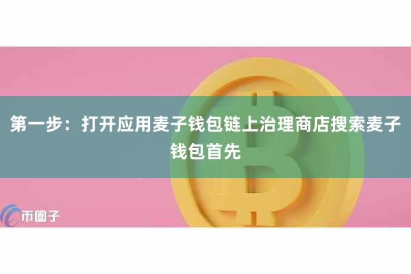 第一步：打开应用麦子钱包链上治理商店搜索麦子钱包首先