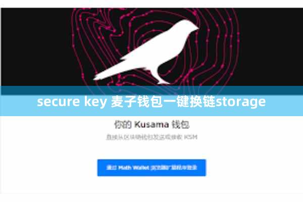 secure key 麦子钱包一键换链storage