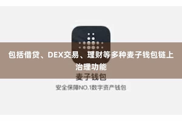 包括借贷、DEX交易、理财等多种麦子钱包链上治理功能