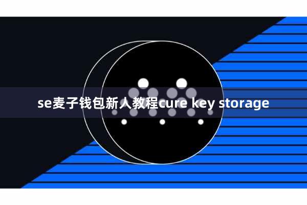 se麦子钱包新人教程cure key storage
