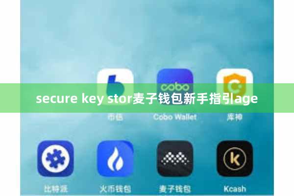 secure key stor麦子钱包新手指引age