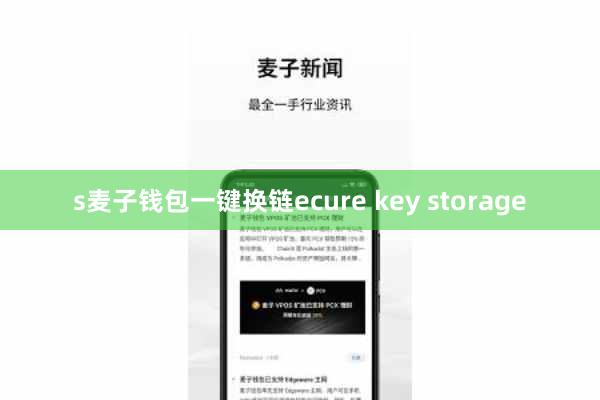s麦子钱包一键换链ecure key storage