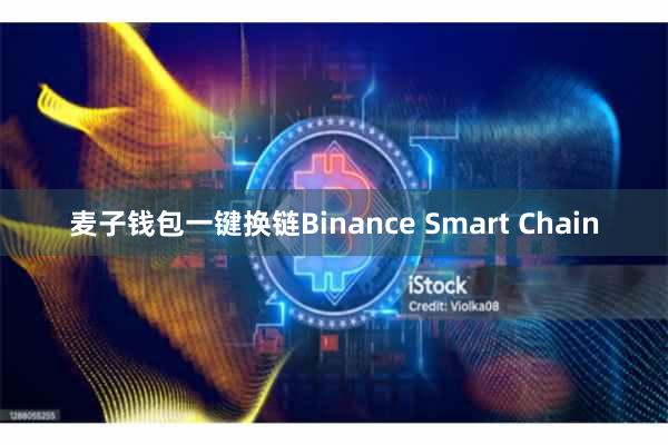 麦子钱包一键换链Binance Smart Chain