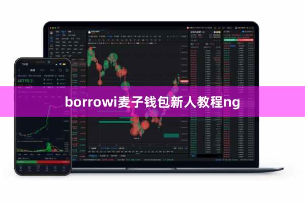borrowi麦子钱包新人教程ng