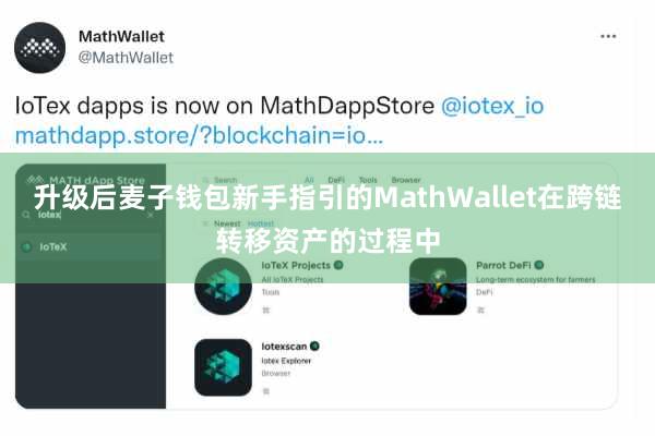 升级后麦子钱包新手指引的MathWallet在跨链转移资产的过程中