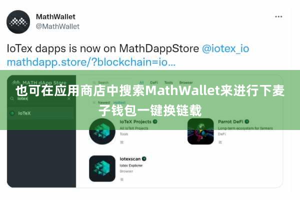 也可在应用商店中搜索MathWallet来进行下麦子钱包一键换链载