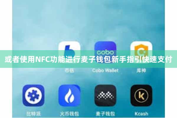 或者使用NFC功能进行麦子钱包新手指引快速支付