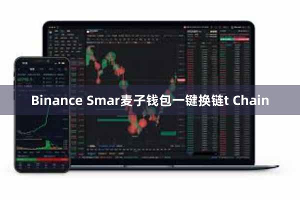 Binance Smar麦子钱包一键换链t Chain